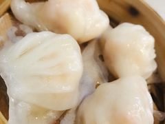 招牌虾饺皇-添运来(茶园奥园广场店)