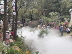 -人民公园(罗湖区)