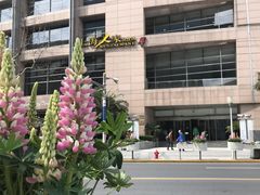 -上海机场-城市航站楼