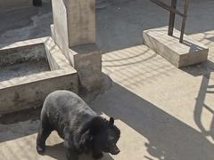 -保定市动物园