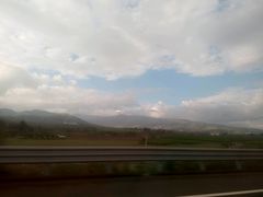 -苹果花园(枫林路店)