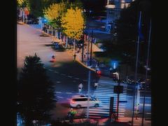 -上海明天广场JW万豪酒店