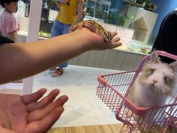 -Moni星球萌宠·小马宝莉·灵蛇·高端高阶全萌宠互动体验俱乐部(红豆国际广场店)