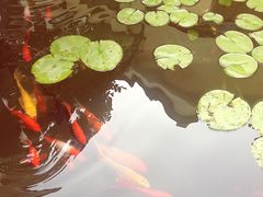 -杭州海华满陇度假酒店