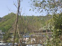 -西安祥峪森林公园