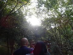 -普陀山风景区-佛顶山