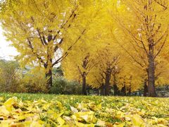 -北京植物园-展览温室