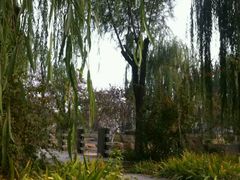 -石家庄市植物园