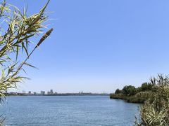 -漕湖湿地公园
