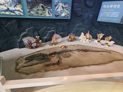 -上海中国航海博物馆