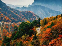 -神农架景区
