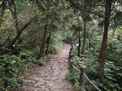 -阳台山自然风景区