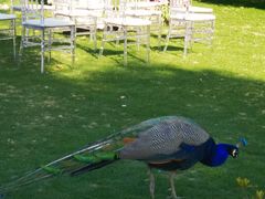 -金庭庄园酒店-停车场