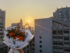 -循礼门鲜花花市(武汉循礼门店)