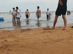 -碧海金沙