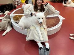 -和它·交个朋友·狗咖猫咖(爱琴海店)