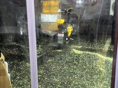 -黑八私房老北京炸酱面