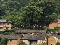 -杨家堂村
