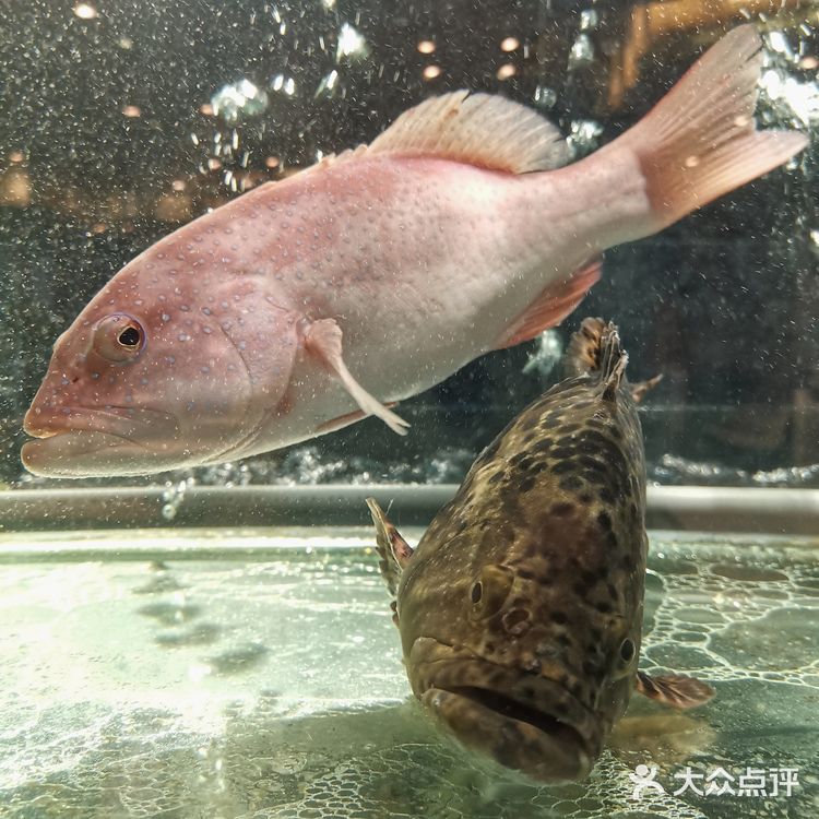 超适合宴请的高档潮州菜，必吃『潮香三宝』