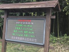 -黄海国家森林公园