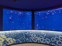 -沈阳海洋探索中心