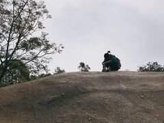 -火炉山森林公园