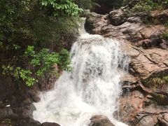 -九龙江国家森林公园