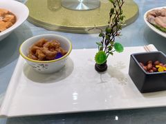 -丁老爷子苏香圆