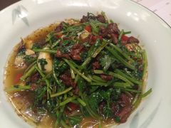 香菜牛肉-广东道至正餐厅(区庄店)