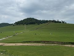 -关山草原