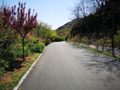 -青岛森林野生动物世界