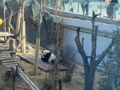 -青藏高原野生动物园