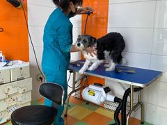 -全心全意动物诊疗中心医院(北苑店)