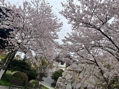 -淹城春秋乐园