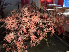 -小京华楼·京味斋(三元桥国展店)