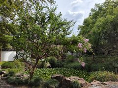 -上海醉白池公园