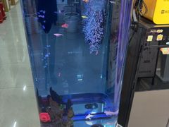 -颐润堂专业养生(五道口华清商务会馆店)