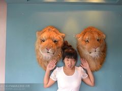 -济州岛泰迪熊博物馆