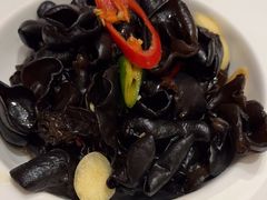 -锦粤宫·融合粤菜(上海金沙江店)