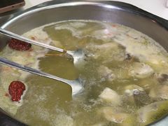 药膳鸡锅-福源药膳鸡(天润城店)