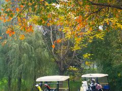 -万柳高尔夫俱乐部