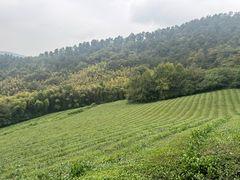 -敬亭山风景名胜区