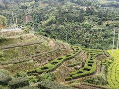 -杨家堂村