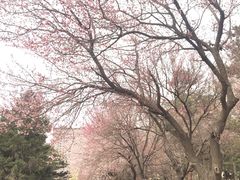 -吉林大学(南岭校区)