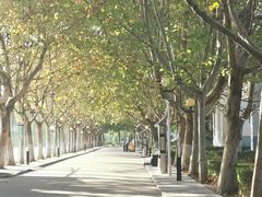 -南京理工大学紫金学院