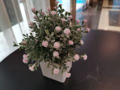 -成都棕南医院·妇科