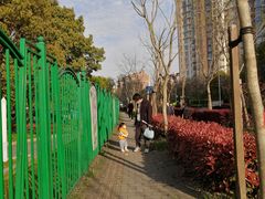 -新江湾城公园