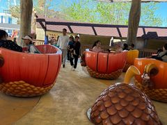 -南戴河国际娱乐中心