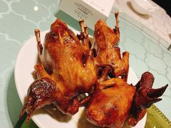-琬苑鸽庄·川粤融合菜(解放碑总店)