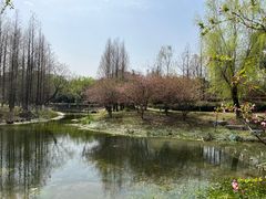 -武汉园博园(武汉自然博物馆)